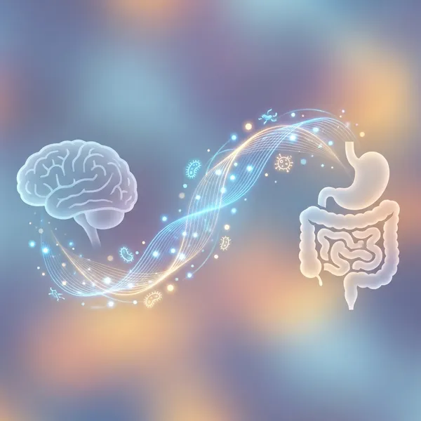 Your Anxiety Might Start in Your Gut, Not Your Brain